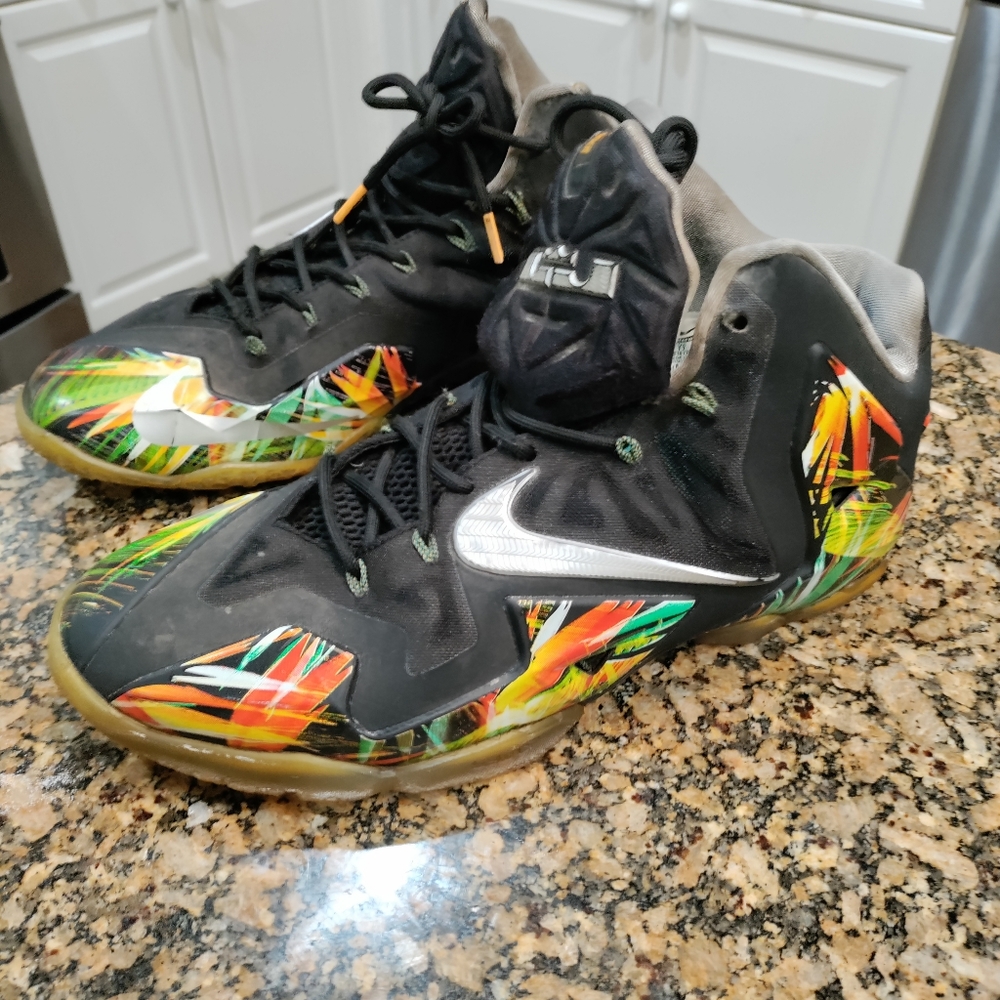 Lebron 11 everglades